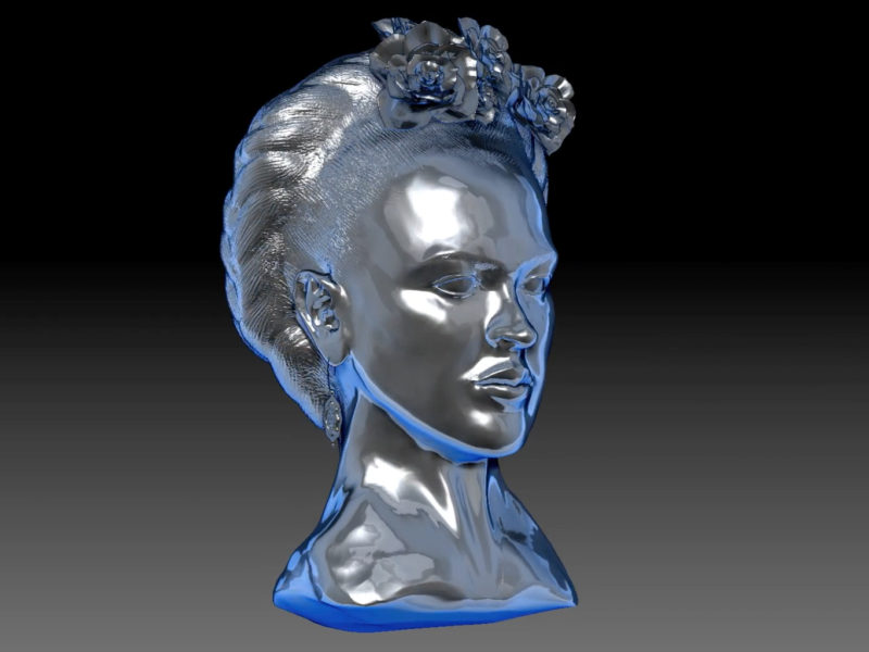 Frida Model Frida Model